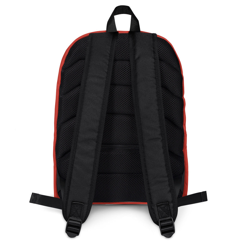 Multi Colored Lines - Inspired By Taylor Swift - Sustainably Made Backpack