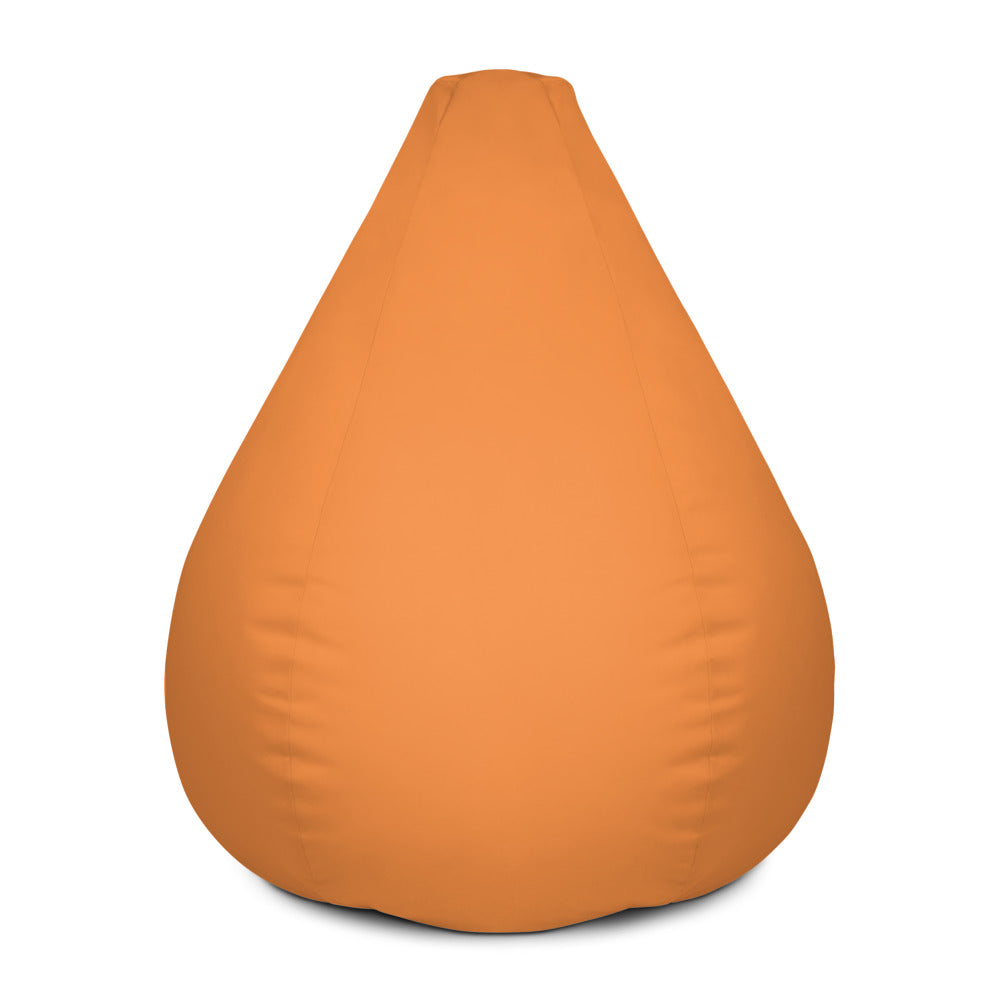 Orange Carrot - Sustainably Made Bean Bag Chair Cover