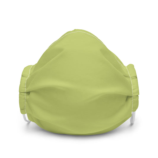 Lime - Sustainably Made Premium Face Mask