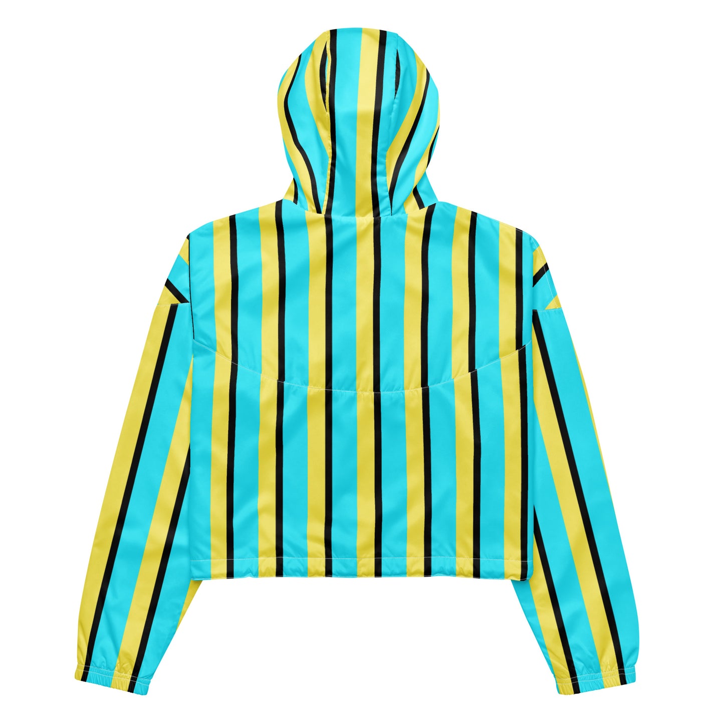 Vintage Stripes - Inspired By Harry Styles - Sustainably Made Women’s cropped windbreaker