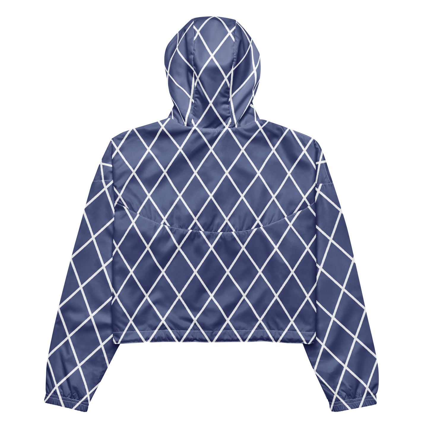 Vintage Blue Purple - Inspired By Harry Styles - Sustainably Made Women’s cropped windbreaker