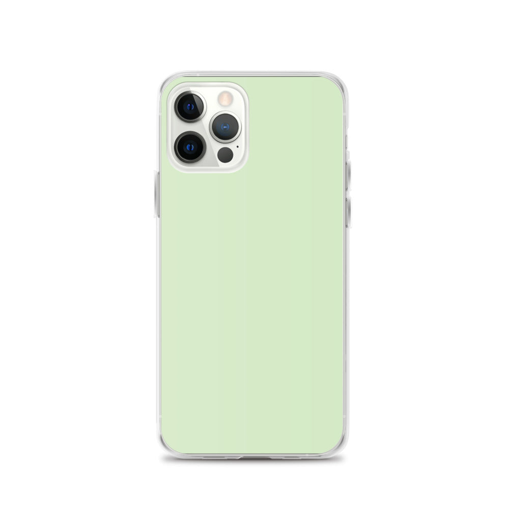 Cool Mint - Sustainably Made iPhone Case