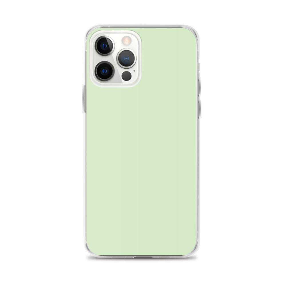 Cool Mint - Sustainably Made iPhone Case