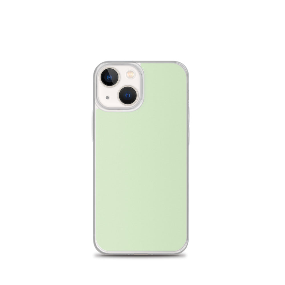 Cool Mint - Sustainably Made iPhone Case