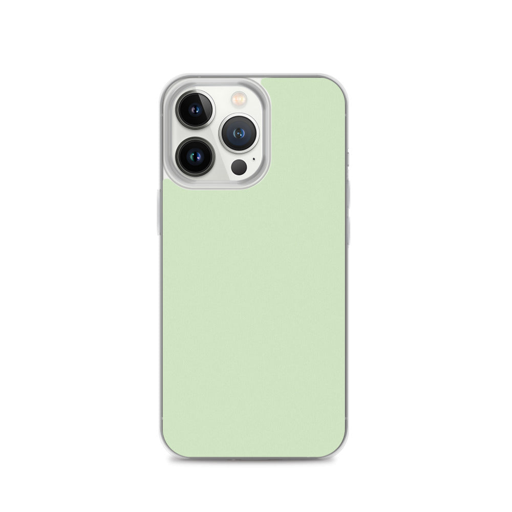 Cool Mint - Sustainably Made iPhone Case