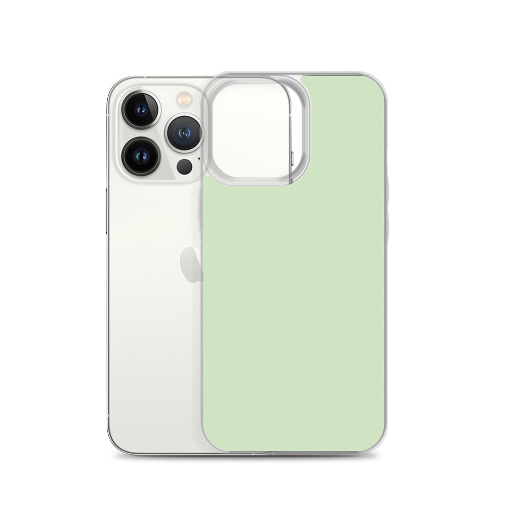 Cool Mint - Sustainably Made iPhone Case