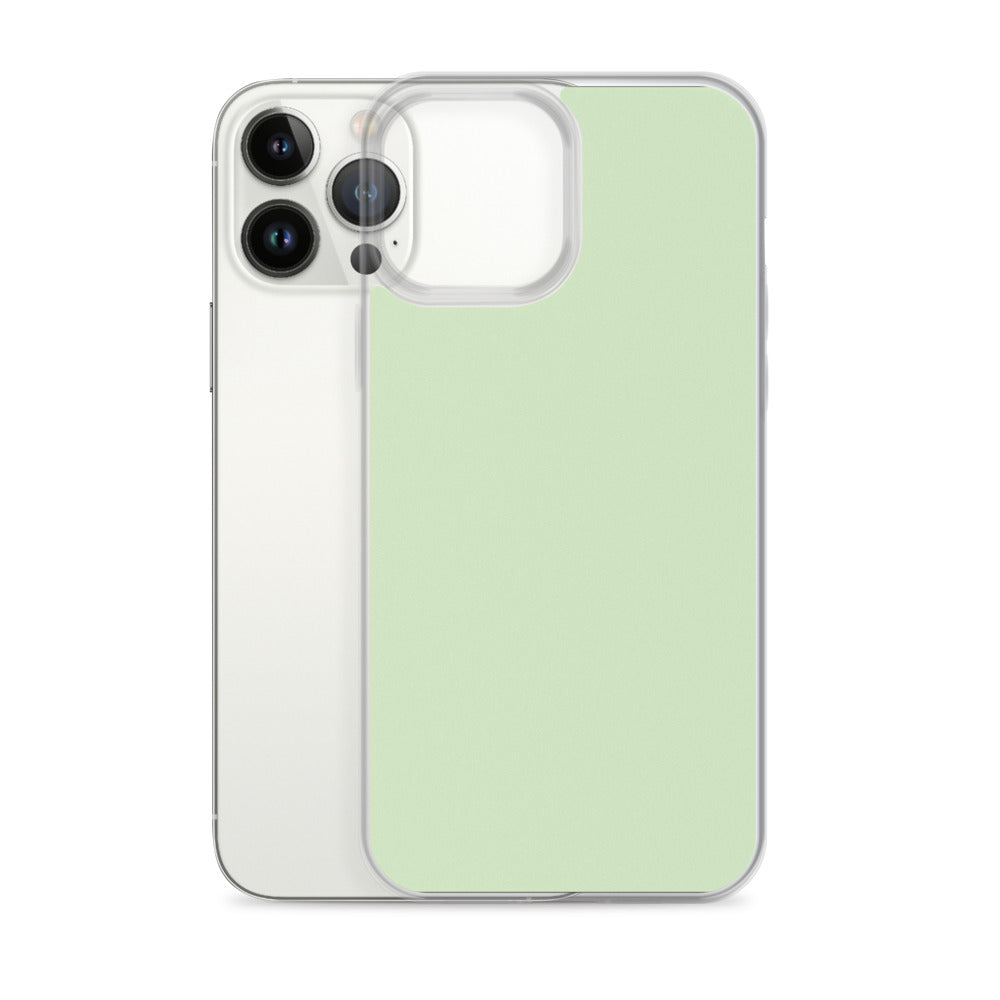 Cool Mint - Sustainably Made iPhone Case