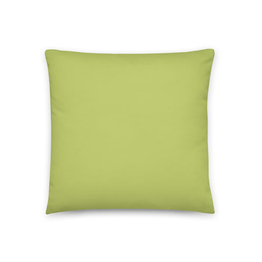 Basic Light Green - Sustainably Made Pillows